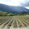 week-end Ventoux - 24/25 septembre 2016